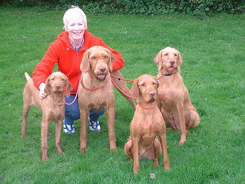 Donna and dogs