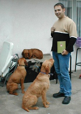 Gabor and his dogs