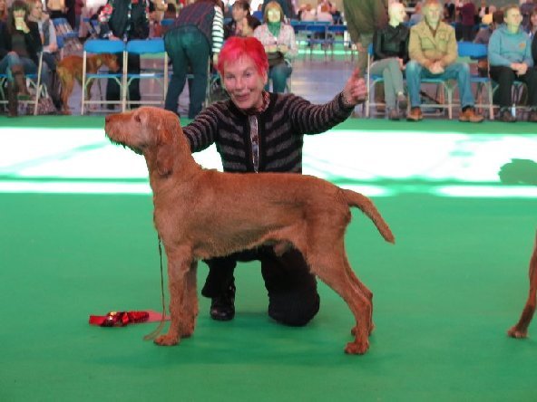 James at Crufts 2014